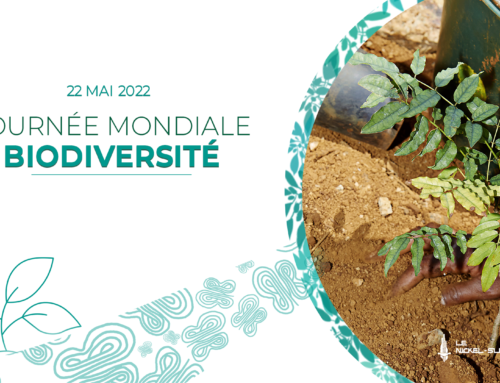 En ce 22 mai 2022, la SLN célèbre la Journée Mondiale de la biodiversité.