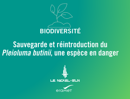 Journée mondiale de la biodiversité le 22 mai 2024