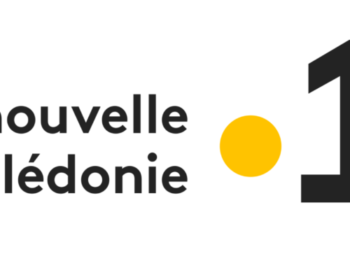 Revue de presse – Situation de la SLN en juillet 2025