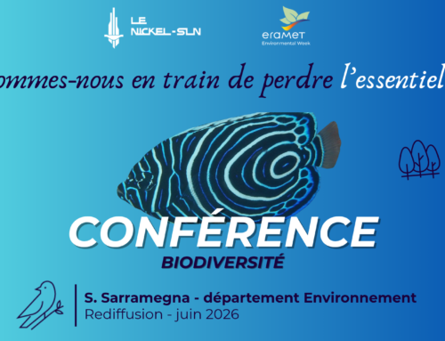 Biodiversité : et si nous étions en train de perdre l&rsquo;essentiel ?