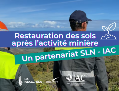 L&rsquo;IAC et la SLN, partenaires pour mesurer la restauration écologique des sols miniers