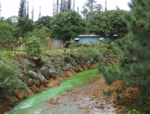 Essai de traçage dans la rivière Kouaoua : mieux comprendre pour mieux protéger la ressource en eau